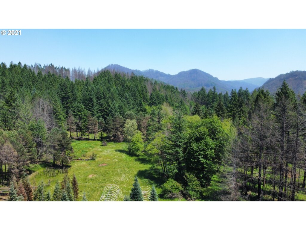 an aerial view of a forest with mountains in the background.