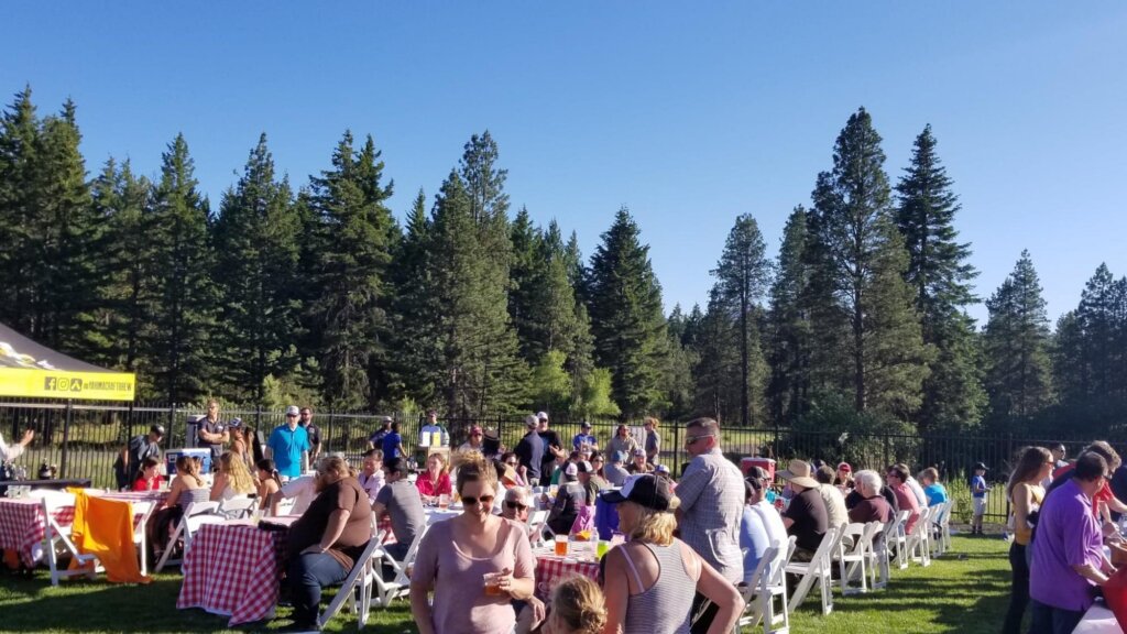 a group of people sitting at a picnic table.