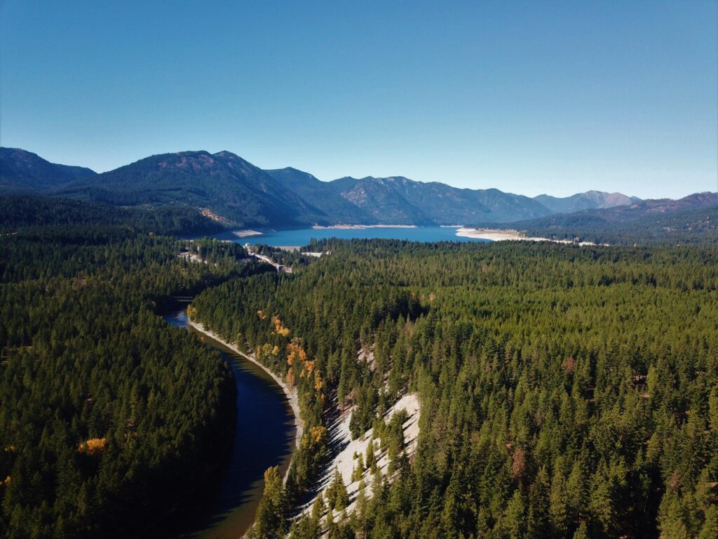 a river running through a lush green forest.