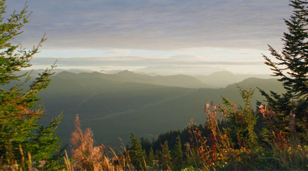 a view of a mountain range with trees in the foreground.