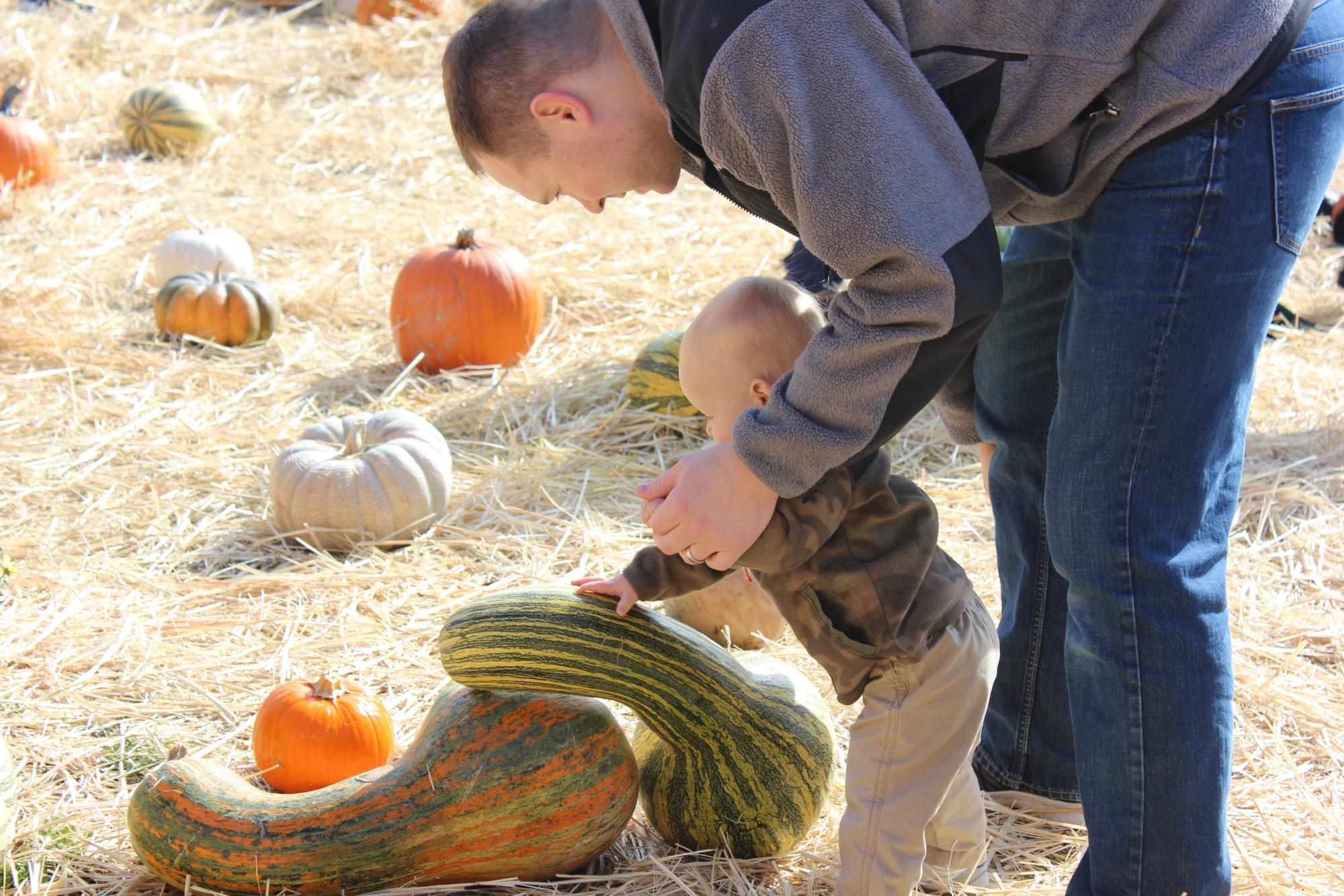 Fall for Good Times at the Suncadia Harvest Festival