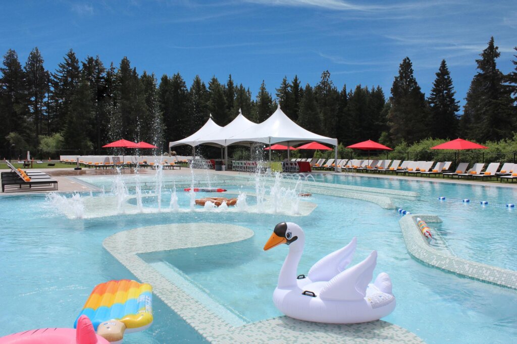 a large swimming pool with a swan in the middle of it.