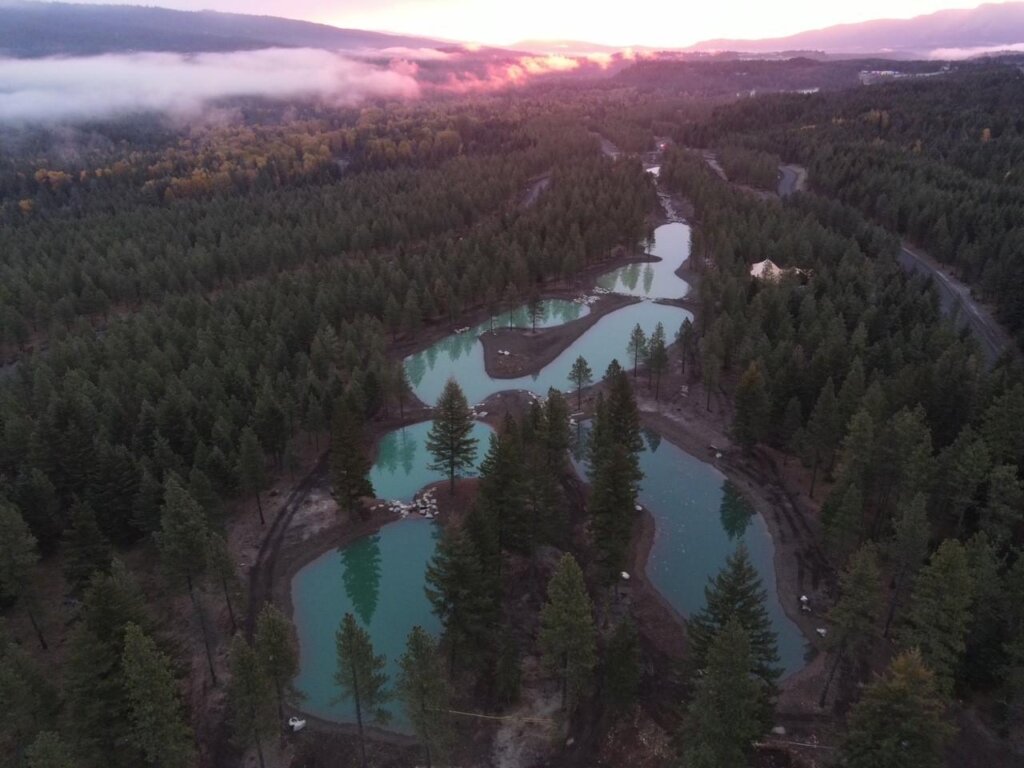 an aerial view of a lake surrounded by trees.