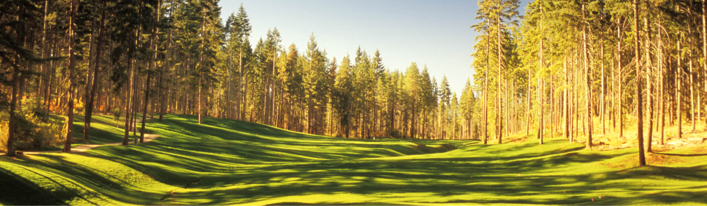 A sunlit golf course in Suncadia is bordered by tall trees, with long shadows cast on the green grass.