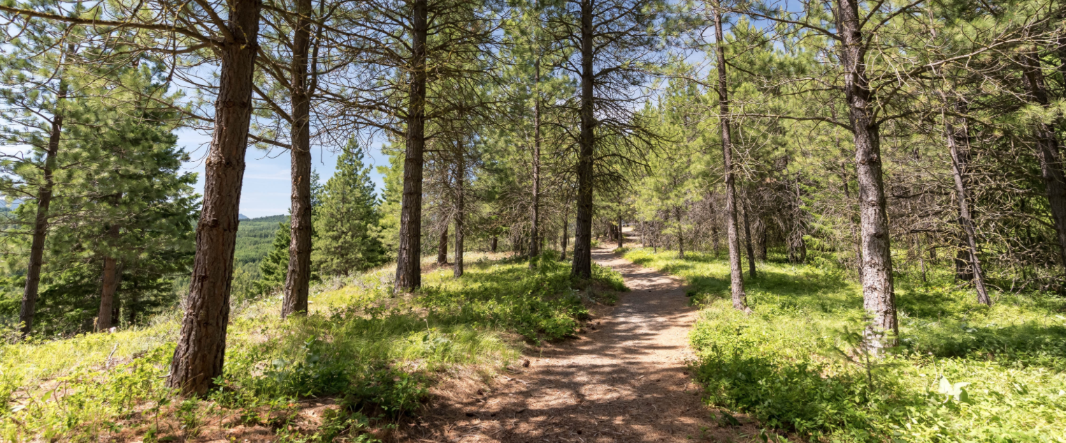 Discover Modern Mountain Living at Suncadia Heights