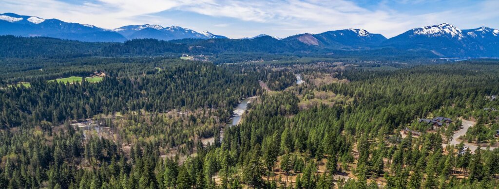 An aerial view showcases a dense forest with a river winding through it, surrounded by snow-capped mountains under a blue sky near Suncadia Resort.