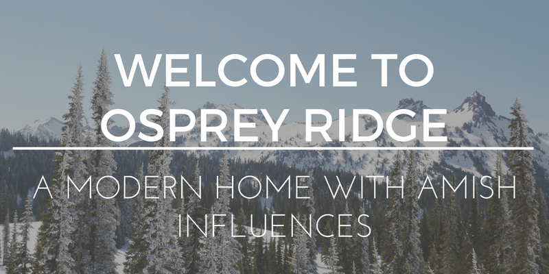 a snowy mountain with trees and the words welcome to osprey ridge.