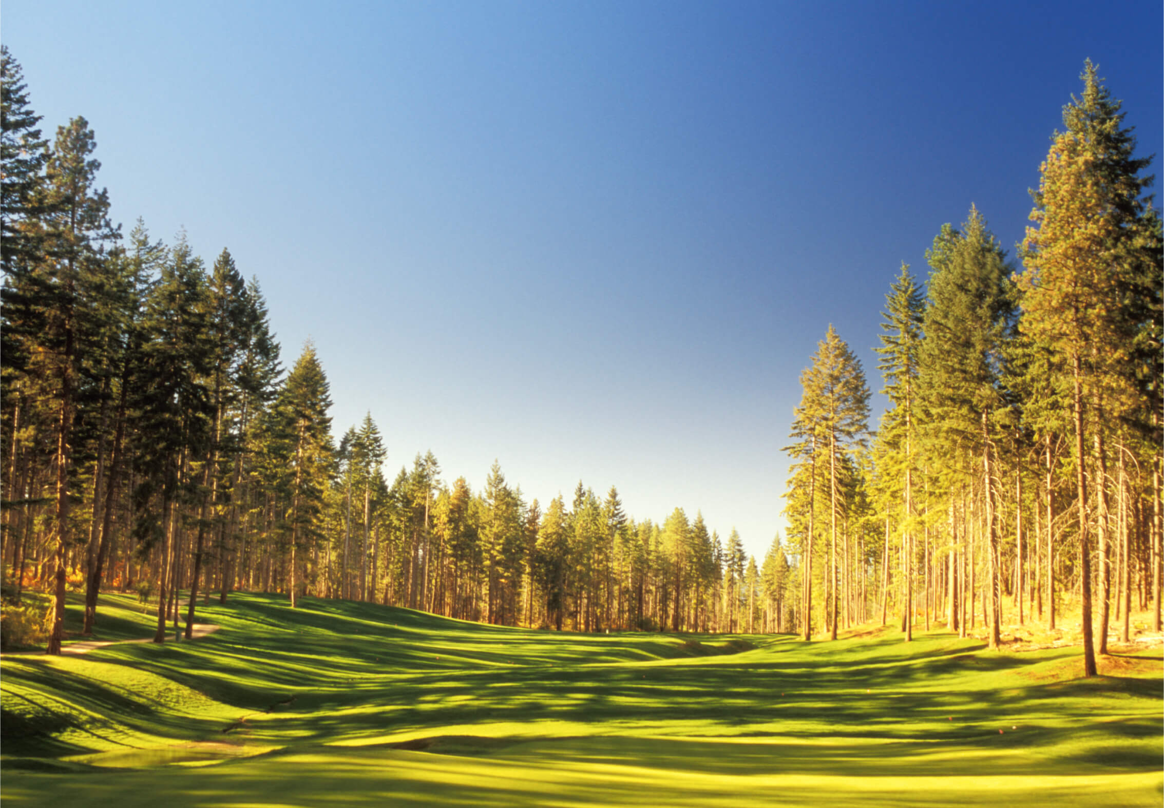 A sunlit golf course with neatly trimmed grass lies amid Suncadia's towering evergreen trees under a clear blue sky.