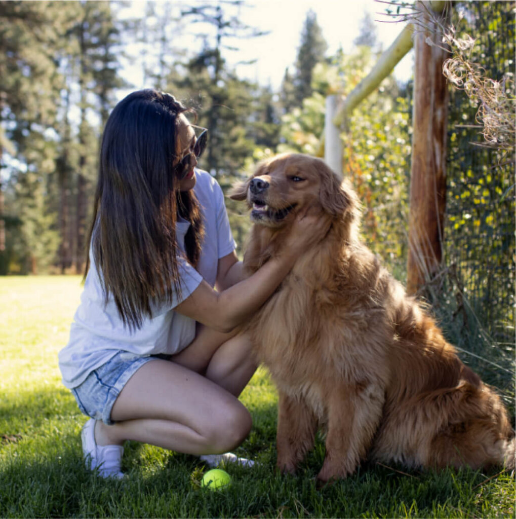 On a sunny day near Suncadia Resort Washington, a woman in sunglasses kneels to pet her golden retriever on the grassy field. Trees and a fence create a picturesque backdrop, while a tennis ball playfully rests nearby.