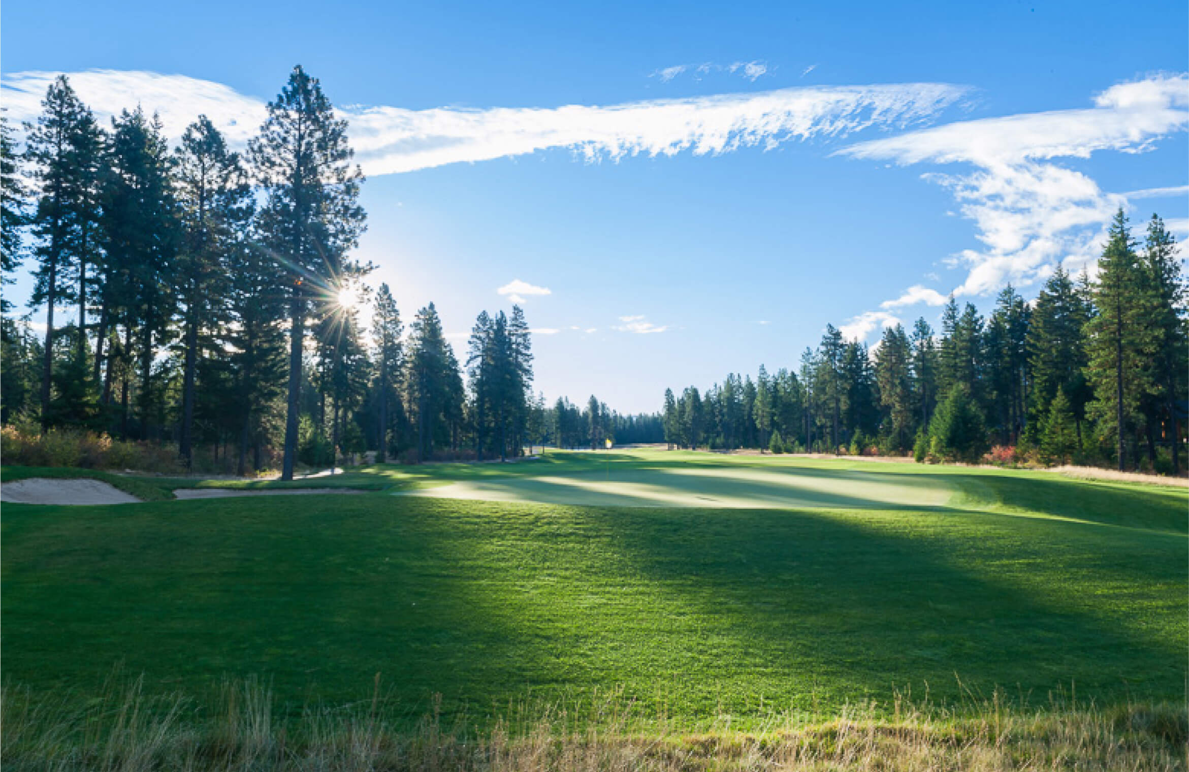 A sunlit golf course surrounded by tall pine trees under a clear blue sky with scattered clouds offers breathtaking views synonymous with Suncadia. Perfect for those intrigued by Suncadia real estate, this tranquil setting promises an unparalleled lifestyle amidst nature's beauty.