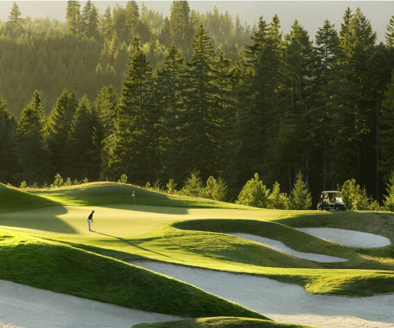 A golfer on a green at Suncadia Resort, surrounded by rolling hills and sand traps, with a golf cart nearby. Pine trees and sunlight in the background create a serene landscape near Cle Elum's delightful restaurants.