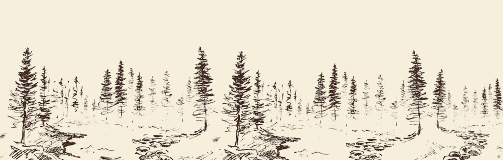 a drawing of a line of trees in the snow.