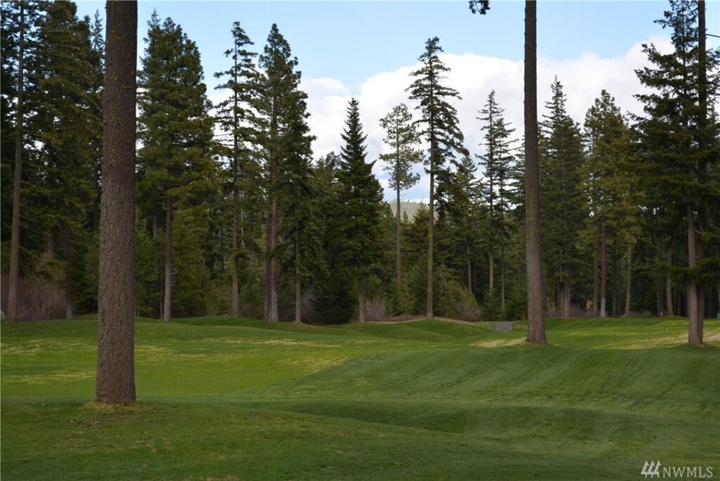 a golf course surrounded by trees and grass.