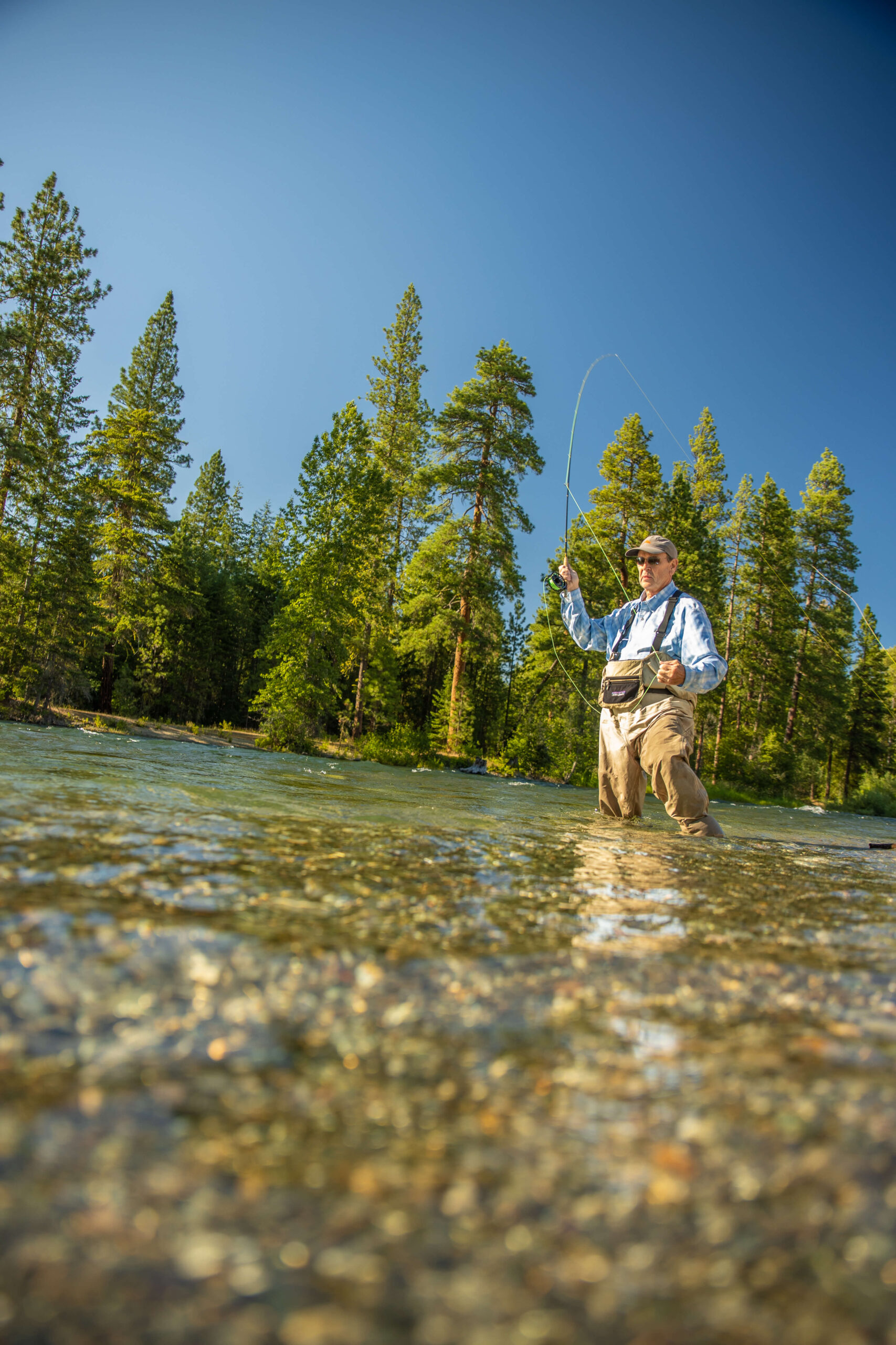 A person fly-fishing in a clear, shallow river at Suncadia, surrounded by tall pine trees under a blue sky.