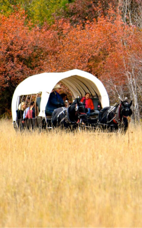 A horse-drawn covered wagon carries several passengers through a grassy field at Suncadia, with autumn-colored trees adding vibrant hues to the picturesque backdrop.