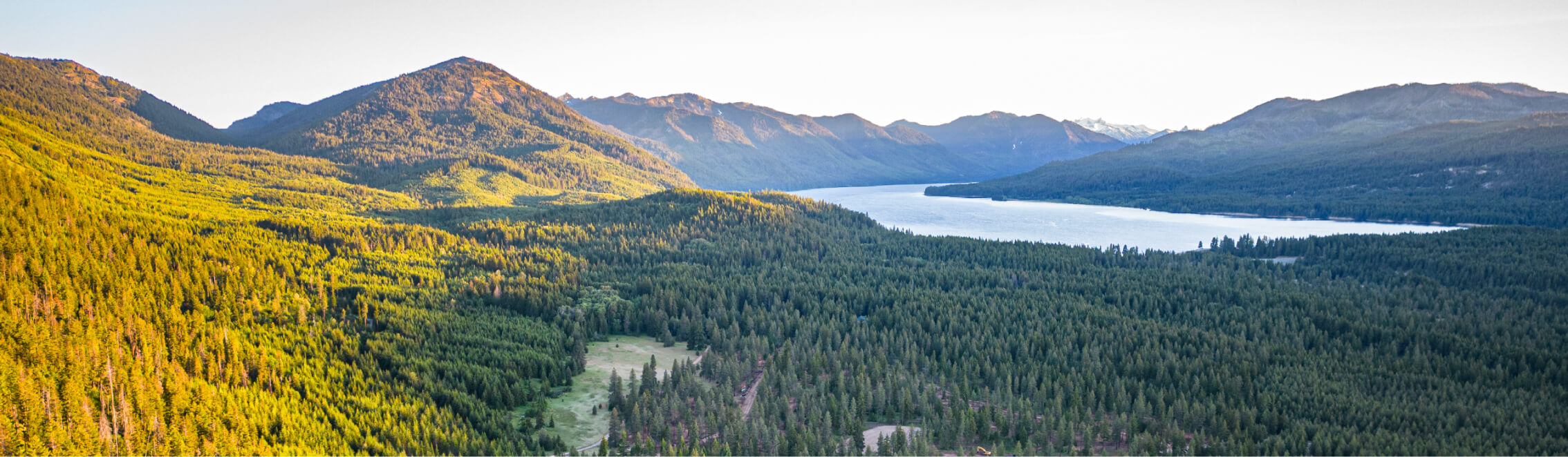 Aerial view of a dense forest landscape near Suncadia Resort, with a large lake and mountains in the background under a clear sky.