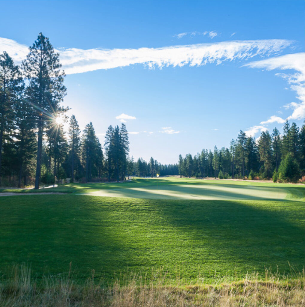 A sunny golf course at Suncadia Resort, Washington, boasts a green fairway bordered by tall pine trees and a blue sky with wispy clouds.