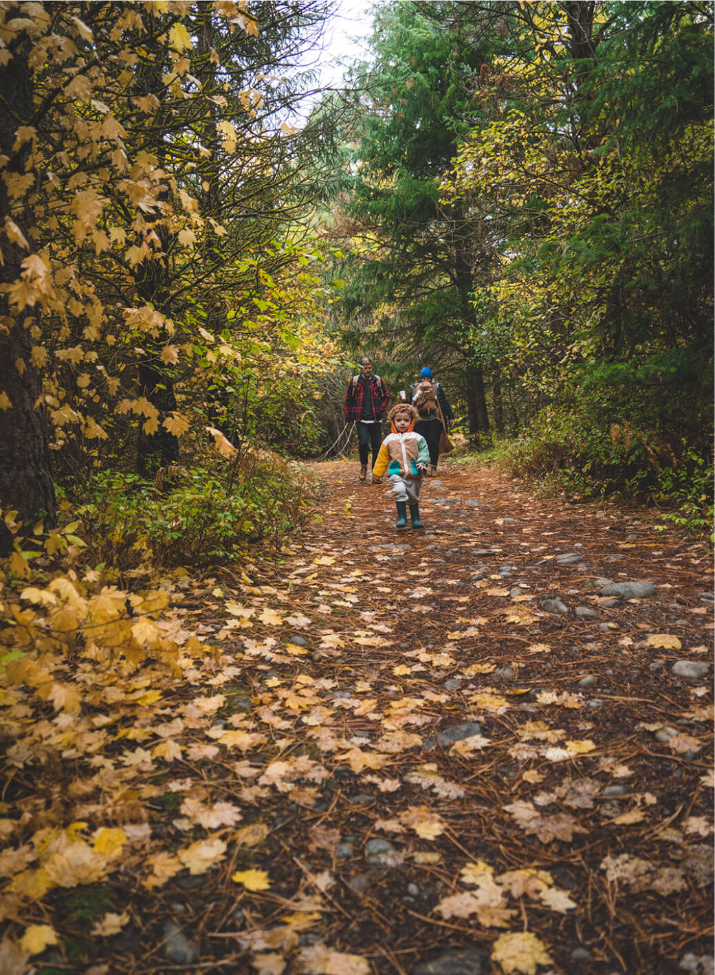 A child walks along a forest path at Suncadia Resort, surrounded by lush green trees and touches of yellow foliage, followed closely by adults.