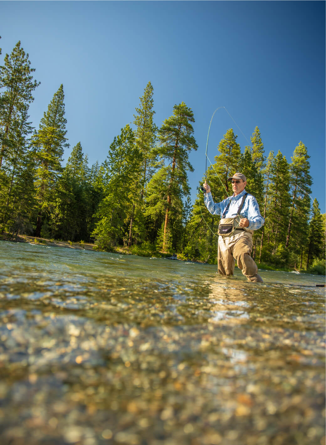 A person fly-fishing in a river surrounded by tall pine trees under a clear blue sky, just a short drive from the cozy Suncadia Resort. Afterwards, they plan to explore nearby Cle Elum restaurants for a delightful meal.