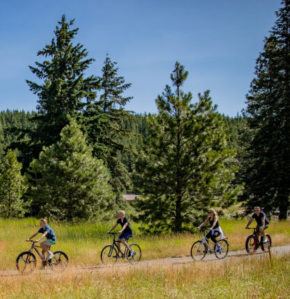 People riding bicycles on a path through a forested area on a sunny day.