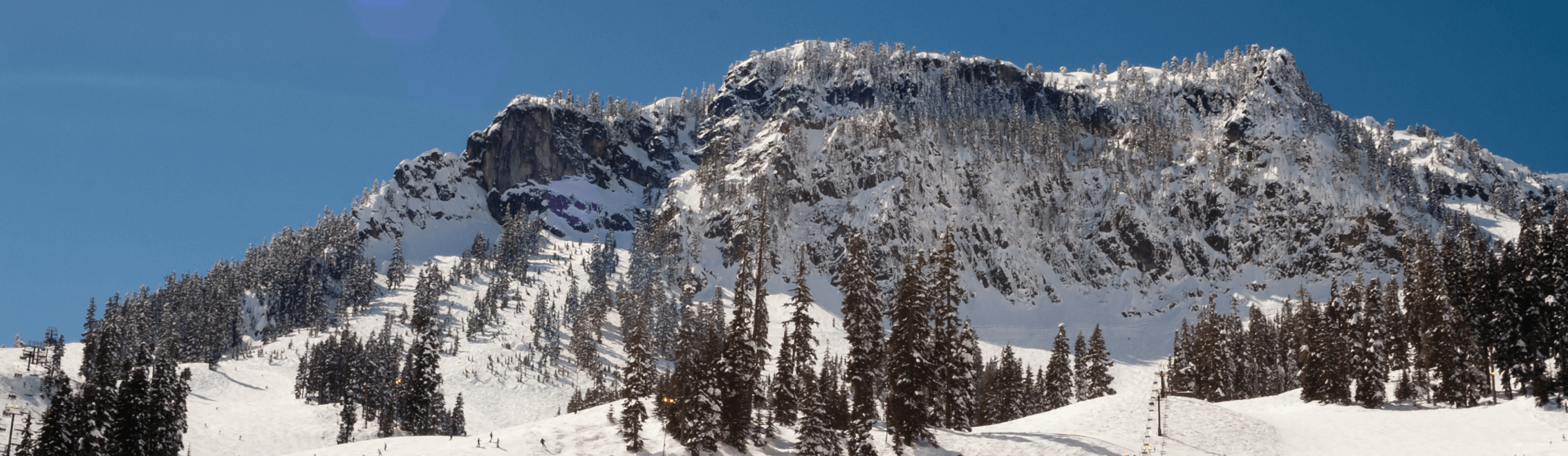 Snow-covered mountain with evergreen trees under a clear blue sky; small groups of people visible on the slopes.