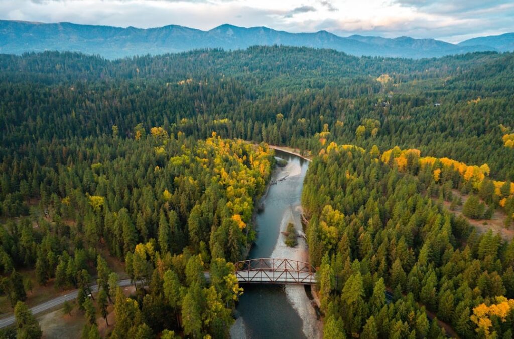 Aerial view of a river winding through a forest with a bridge. Trees show green and yellow foliage. Mountains and clouds are visible in the background.