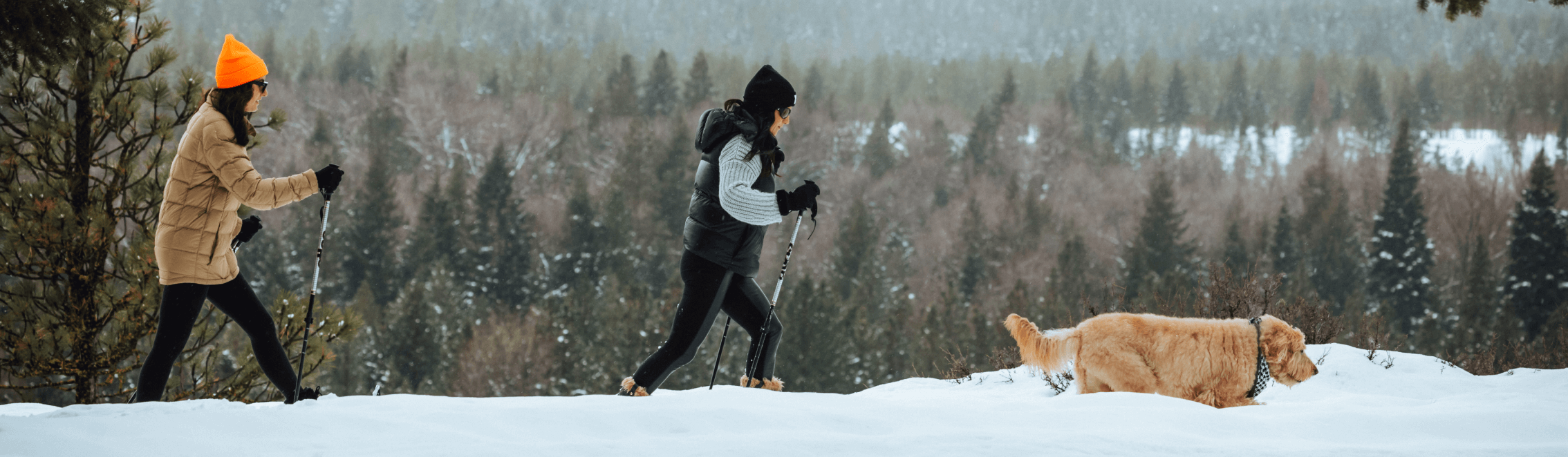 Two people in winter clothing and a dog walking through a snowy landscape with trees in the background.