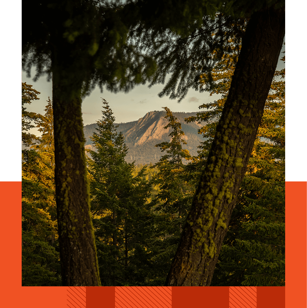 Mountain peak visible through a frame of tall trees, surrounded by a dense forest under a cloudy sky.