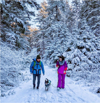 Two people in winter clothing walk a dog on a snow-covered forest trail surrounded by snow-laden trees.