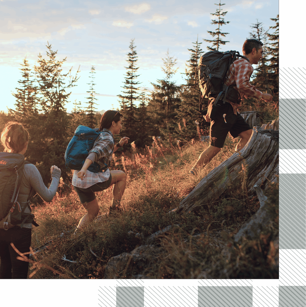 Three people with backpacks hike up a grassy, rocky hill through a forested area at sunset.