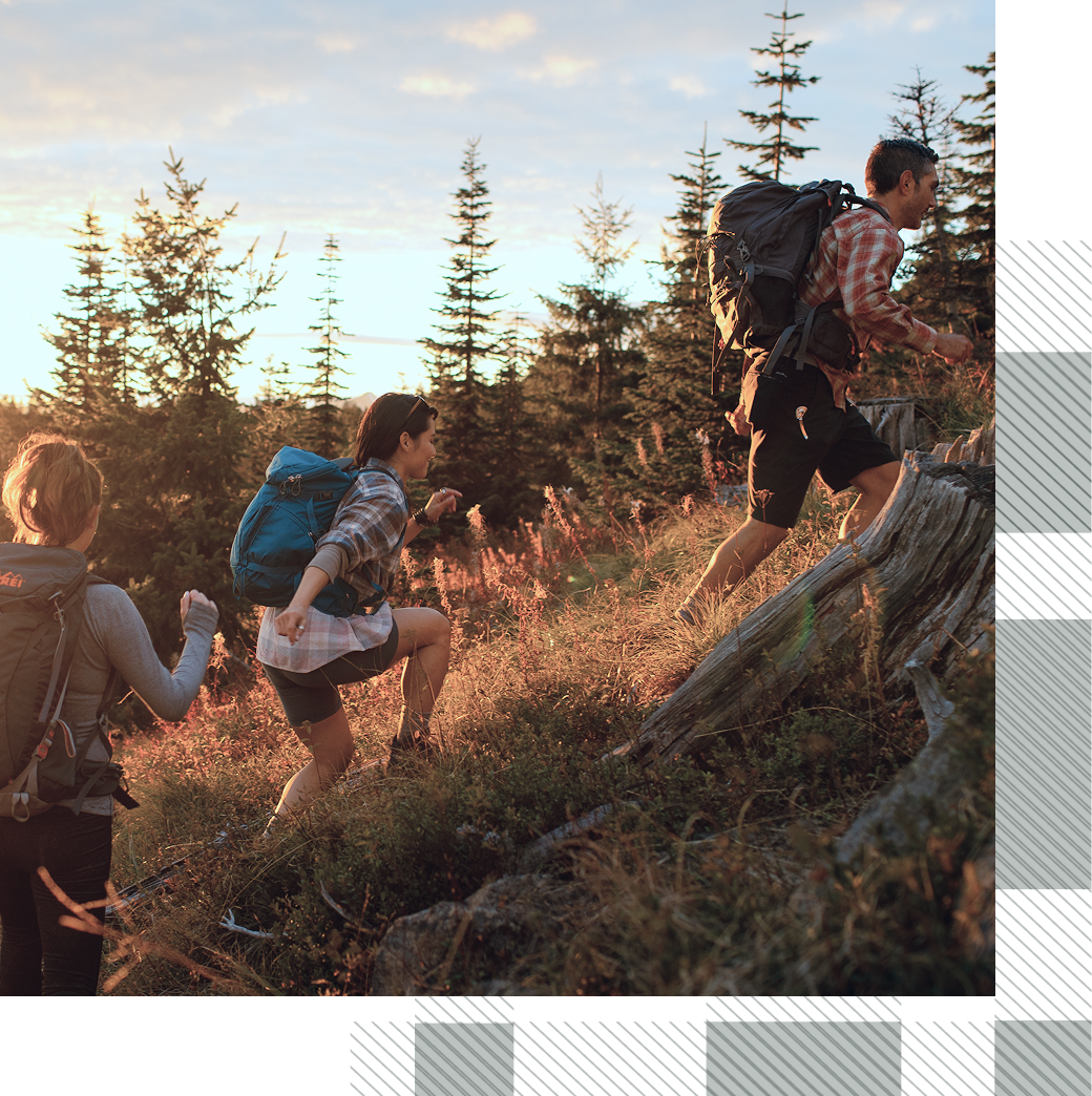 Three people with backpacks hike up a grassy, rocky hill through a forested area at sunset.