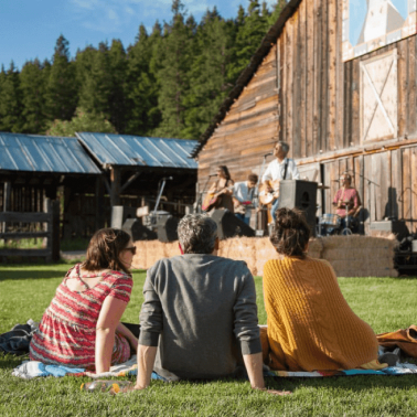 Four people sit on the grass facing an outdoor stage where a band performs, with wooden buildings and trees in the background.