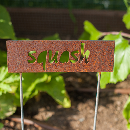 A metal garden sign with the word "squash" cut out, placed in soil with green squash leaves in the background.