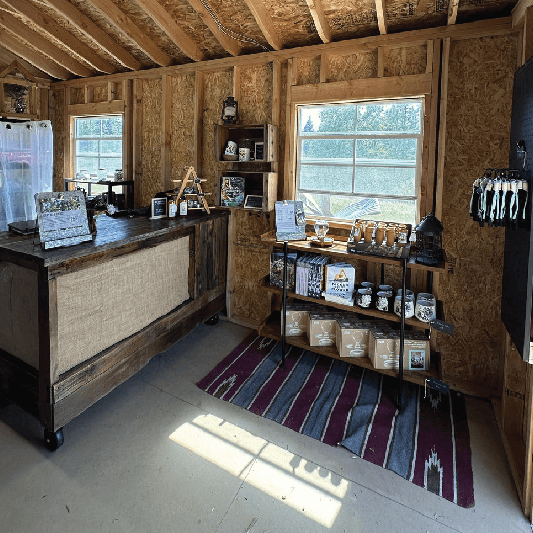 A small shop interior with unfinished wooden walls, shelves displaying mugs, jars, and bags, and a counter on the left; sunlight streams through two windows.