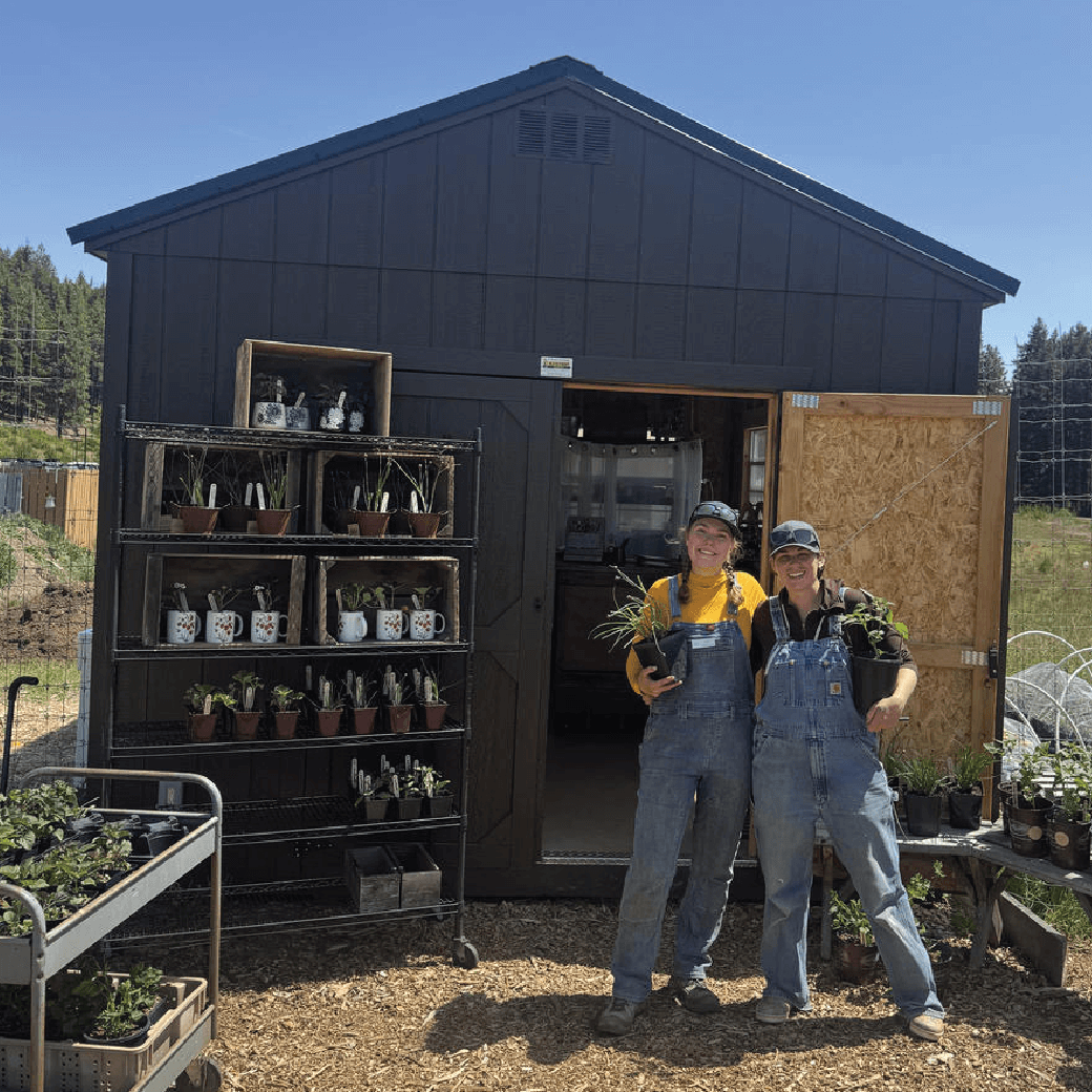 Two people in overalls stand smiling outside a black shed, holding potted plants. Shelves and carts with more plants are displayed beside them under a clear sky.