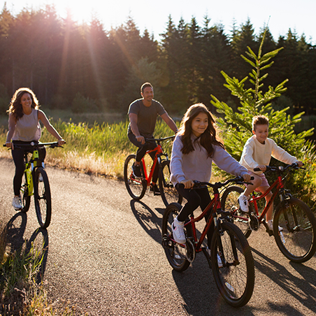 Four people ride bikes together on a paved path through a sunlit forested area.