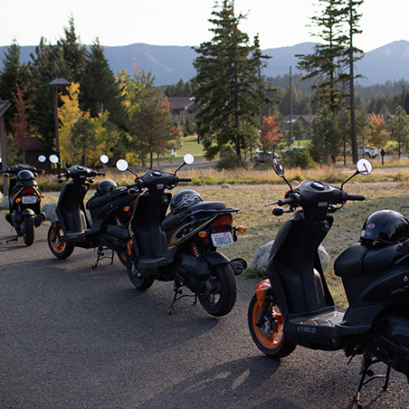A row of parked scooters lines a paved path with trees, grassy areas, and mountains visible in the background.