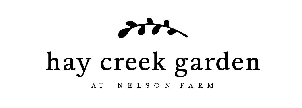 Logo for "hay creek garden at nelson farm" featuring a simple black branch with leaves above the text in a serif font.