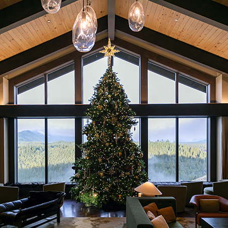 A large decorated Christmas tree stands in the center of a modern living room with floor-to-ceiling windows overlooking a forested landscape.