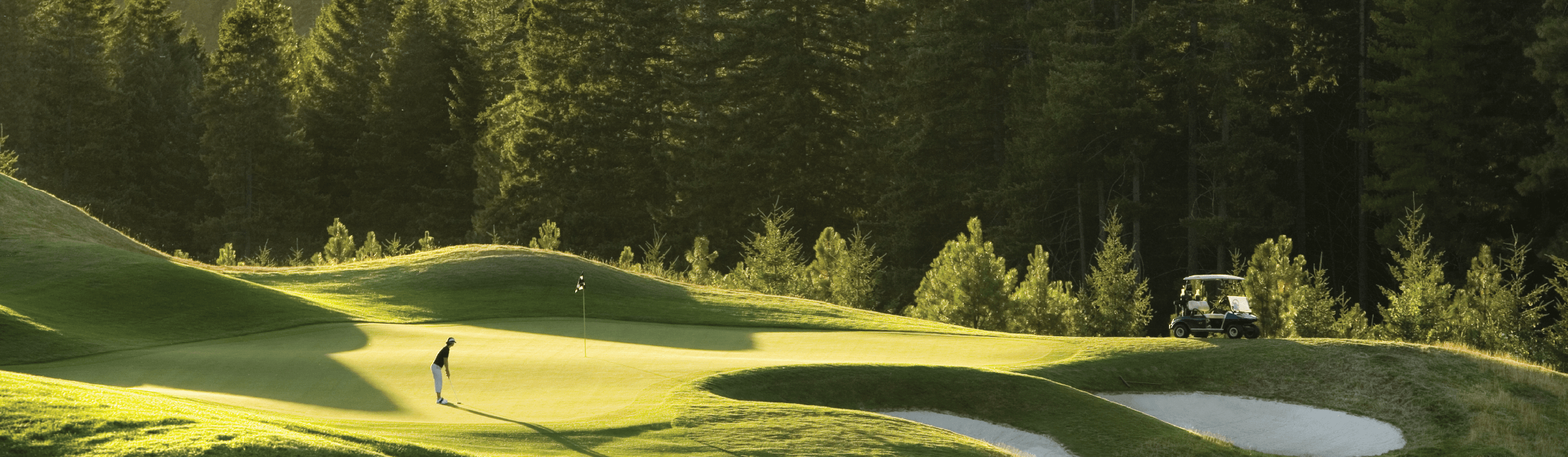 A golfer stands on a green, preparing to putt, with a golf cart parked nearby and tall trees in the background.