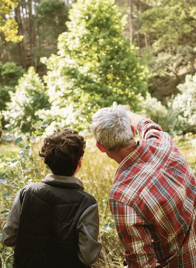 Two people, one older and one younger, stand outdoors in a sunlit forested area, with the older person pointing at something in the distance among the trees.