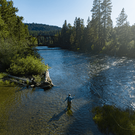 A person fly-fishing in a shallow river surrounded by dense forest, with sunlight shining through the trees and a bridge visible in the background.