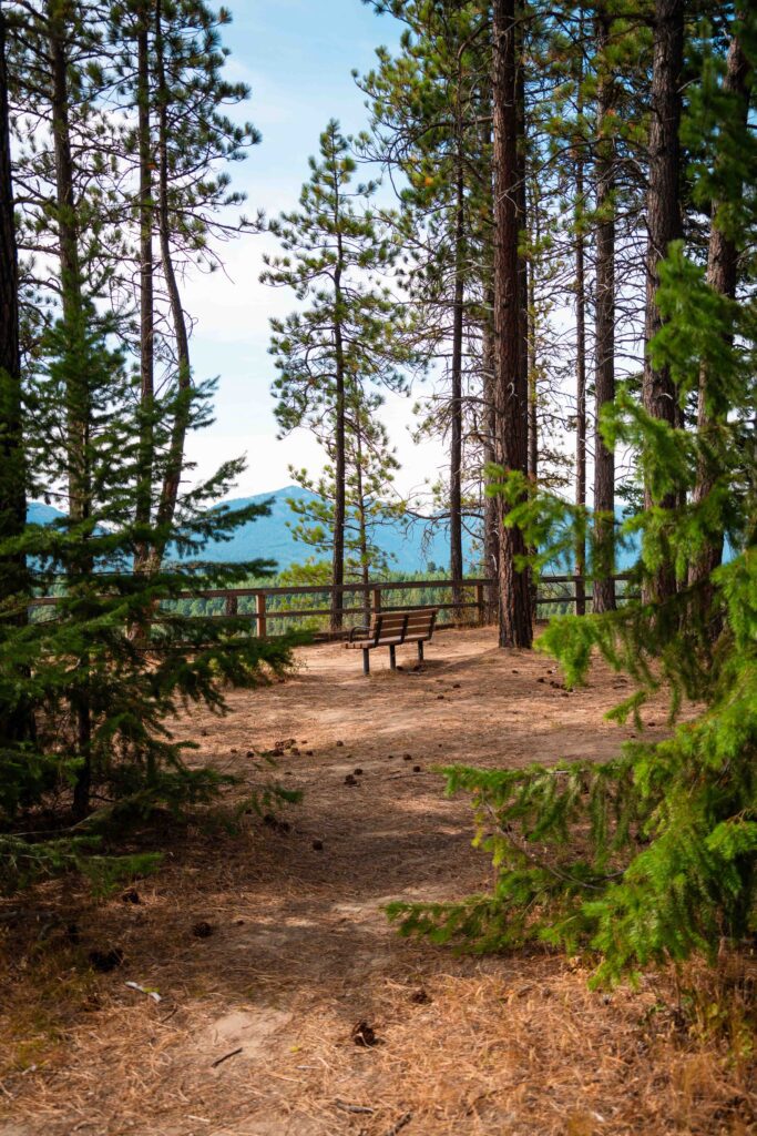 A wooden bench sits on a dirt path surrounded by tall pine trees, overlooking a scenic mountain view, with a wooden fence in the background under a clear sky.