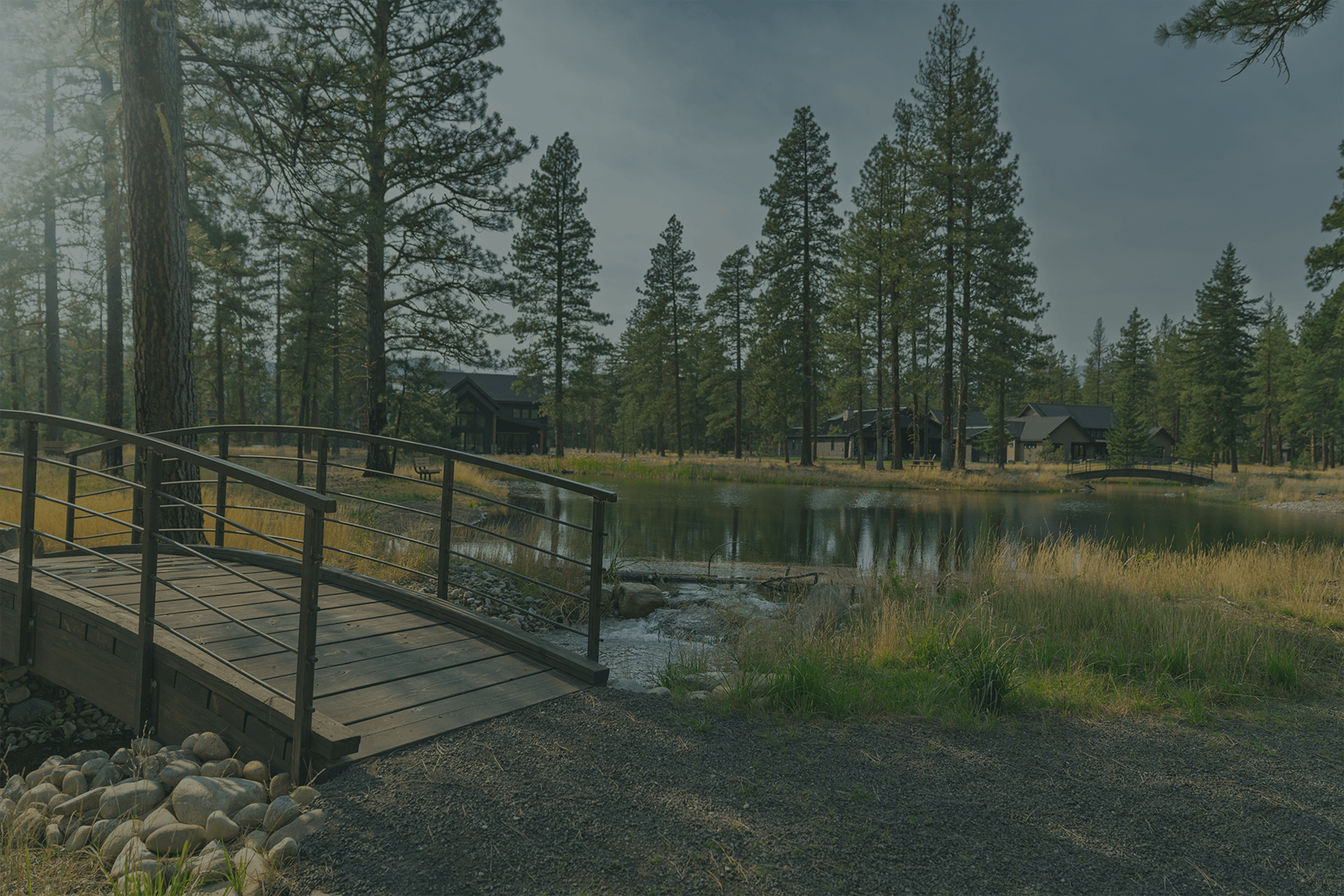 Password Page Background