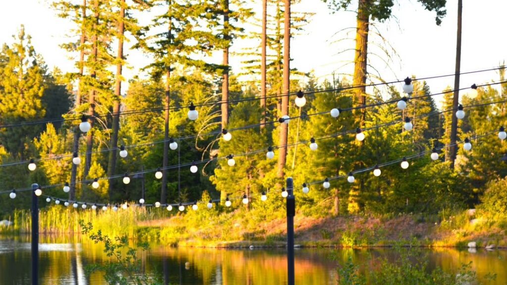 String lights hang above a calm lake surrounded by tall pine trees, with golden sunlight illuminating the scene and reflecting off the water, creating a peaceful outdoor atmosphere.