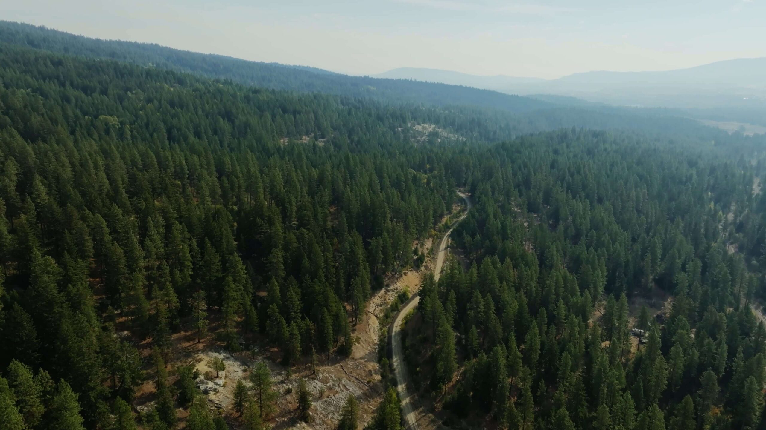 A winding road cuts through a dense forest of tall evergreen trees, stretching across rolling hills with mountains visible in the hazy distance under a pale sky—Rooted In Suncadia Social charm.