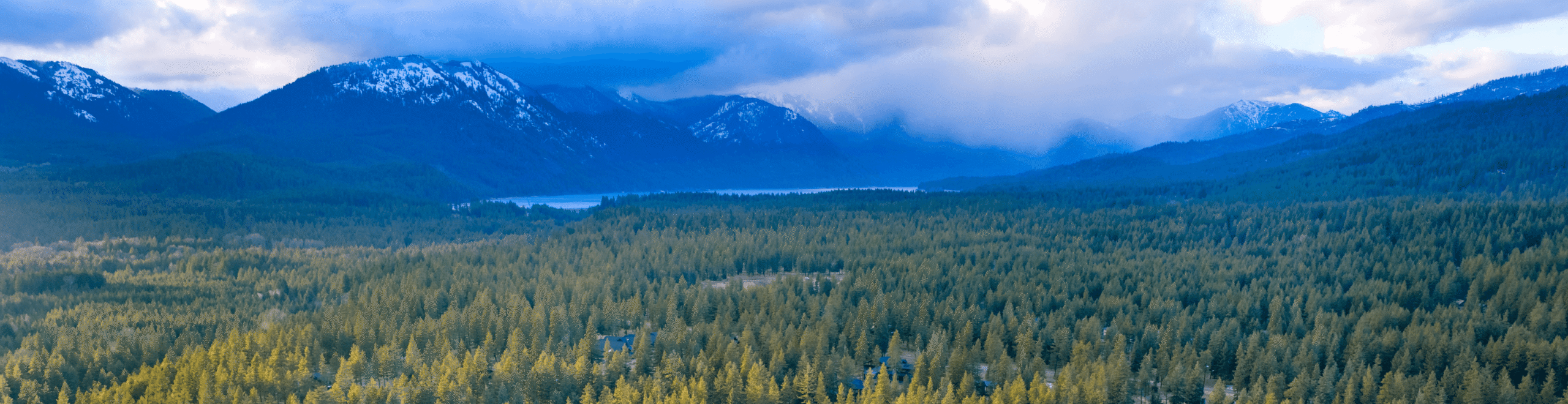 A wide view of a dense evergreen forest with snow-capped mountains in the background under a cloudy, blue sky.