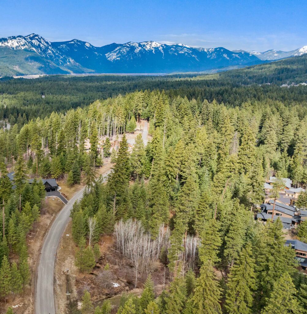 A winding road curves through a dense forest of evergreen trees, with scattered houses visible—perfect for enjoying spring events at Suncadia. Snow-capped mountains rise in the background under a clear blue sky.