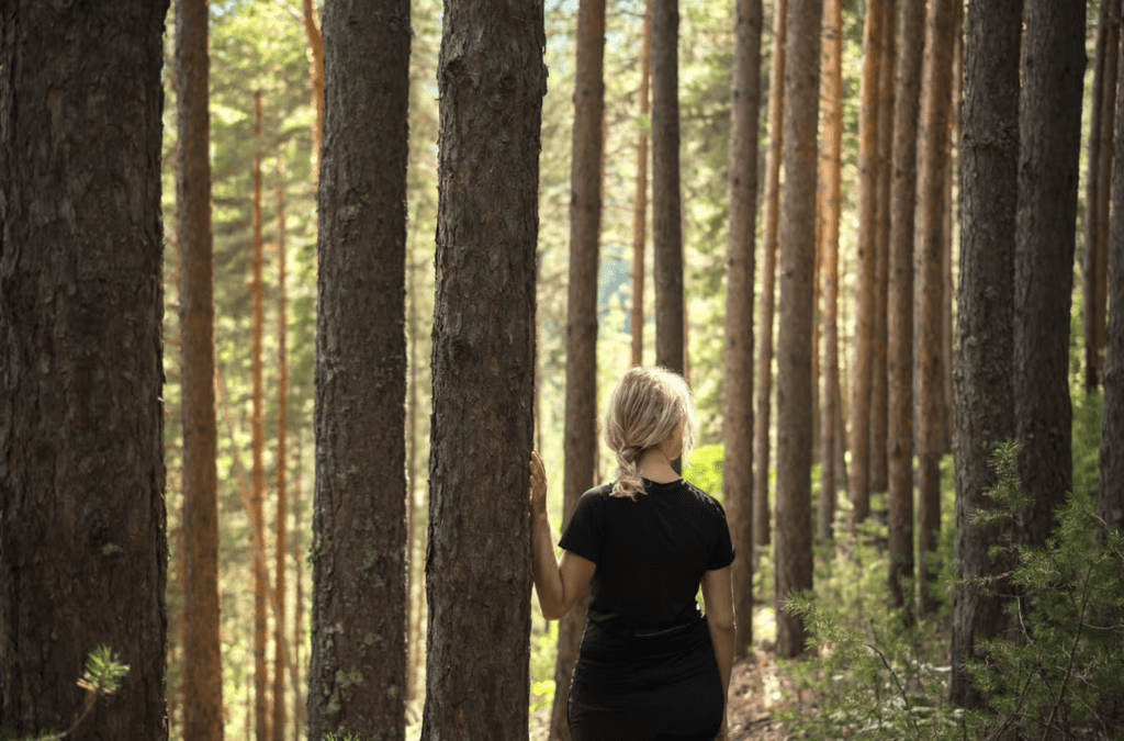 A person with blonde hair, wearing a black shirt, stands in a sunlit forest, facing away and resting one hand on a tall tree surrounded by dense pine trunks and green foliage.