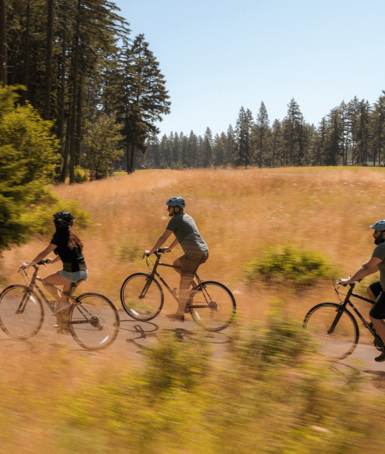 Three people wearing helmets ride bicycles on a paved path through a grassy field surrounded by tall trees on a sunny day.
